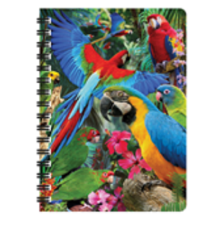 Obrázek z Notes 3D 11x14cm - papoušci (10) 